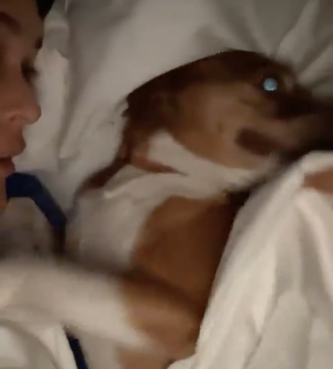 bbregza's tweet image. “Poché.. Calle me está molestando”