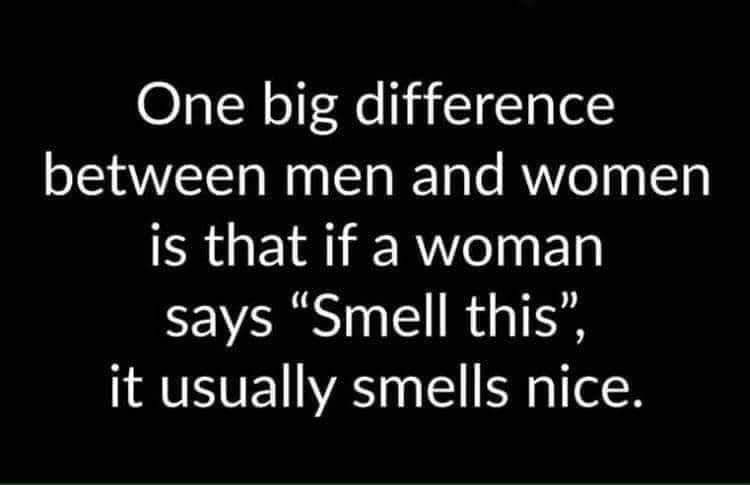 LockdownHumour's tweet image. #LockdownHumour #LockdownHumor