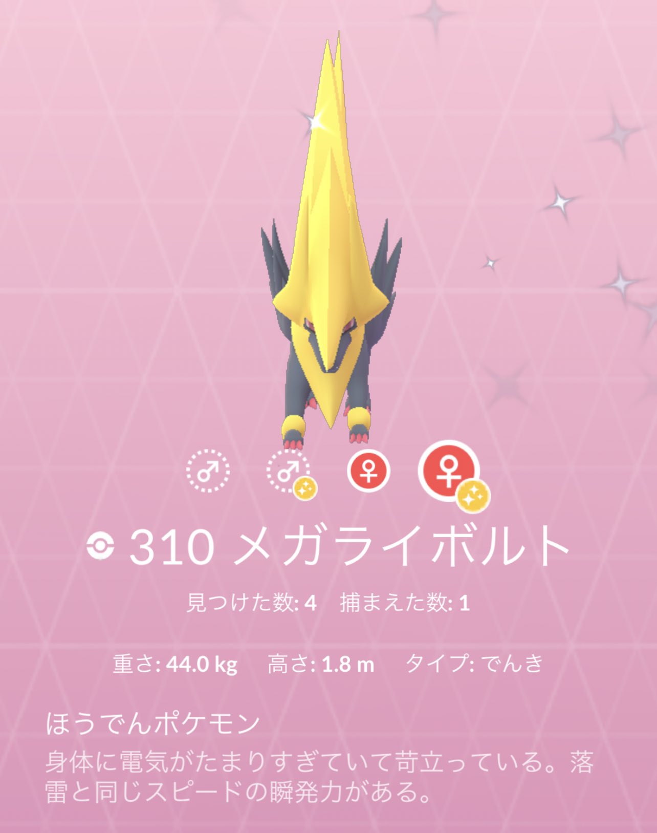 No 771 メガライボルトを先日ゲットした色違い ライボルトで図鑑登録 色々話題のメガ進化 自分の場合は図鑑登録まで頑張って 登録したらその後レイドはほぼしませんね メガスピアーは知らん間にエナジー貯まっていくんで たまにメガ進化させます