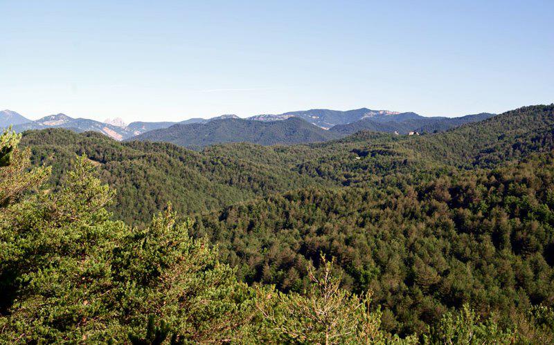 🌳🌲Avui és el Dia Internacional dels Boscos o Dia Forestal Mundial se celebra cada 21 de març. 

▶L'Organització de les Nacions Unides per a l'Alimentació i l’Agricultura (<a href="/FAO/">Food and Agriculture Organization</a>) commemora aquest dia des de l'any 1971. 

💚Preservem-los son font de vida. #adfcat