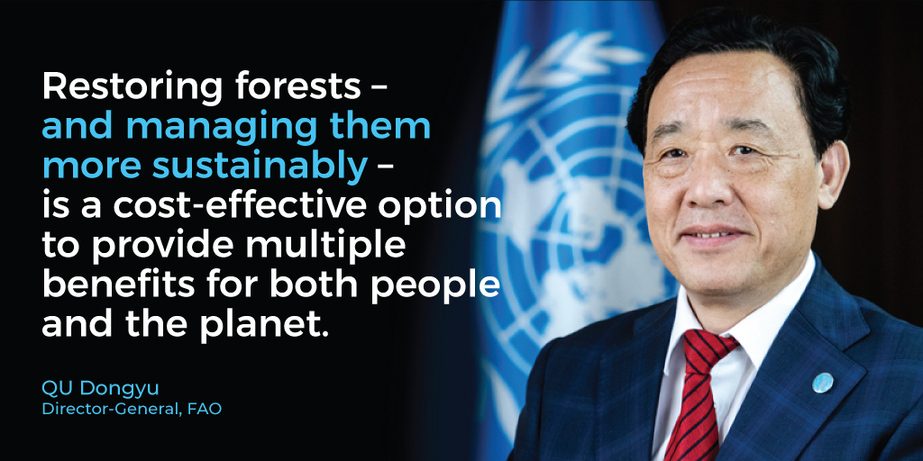 "Restoring forests – and managing them more sustainably – is a cost-effective option to provide multiple benefits for both people and the planet." <a href="/FAODG/">FAO Director-General QU Dongyu</a> QU Dongyu

#IntlForestDay #GenerationRestoration