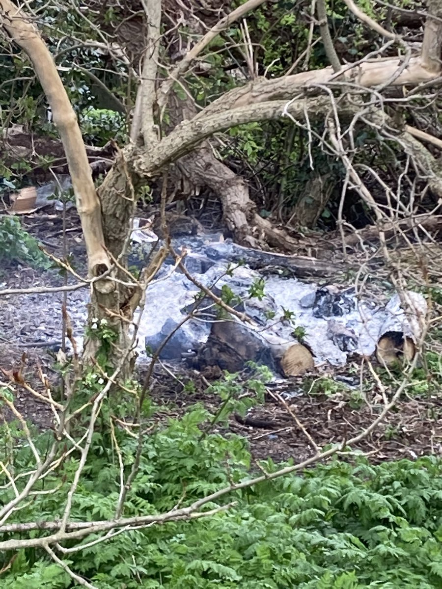 Morning run interrupted cos some arses decided to build fire on #hackneymarshes & leave unattended.  @lfbhackney called @hackneycouncil @HMUG_Hackney