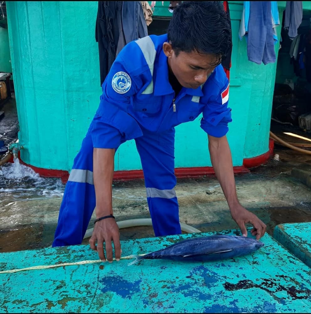 #SahabatBahari, KKP melalui <a href="/djpt_kkp/">Direktorat Jenderal Perikanan Tangkap</a> terus berupaya meningkatkan akurasi dan kualitas data perikanan tangkap. Tujuannya untuk mewujudkan tata kelola perikanan tangkap yang bertanggung jawab, legal, terlaporkan dan sesuai ketentuan yang berlaku.