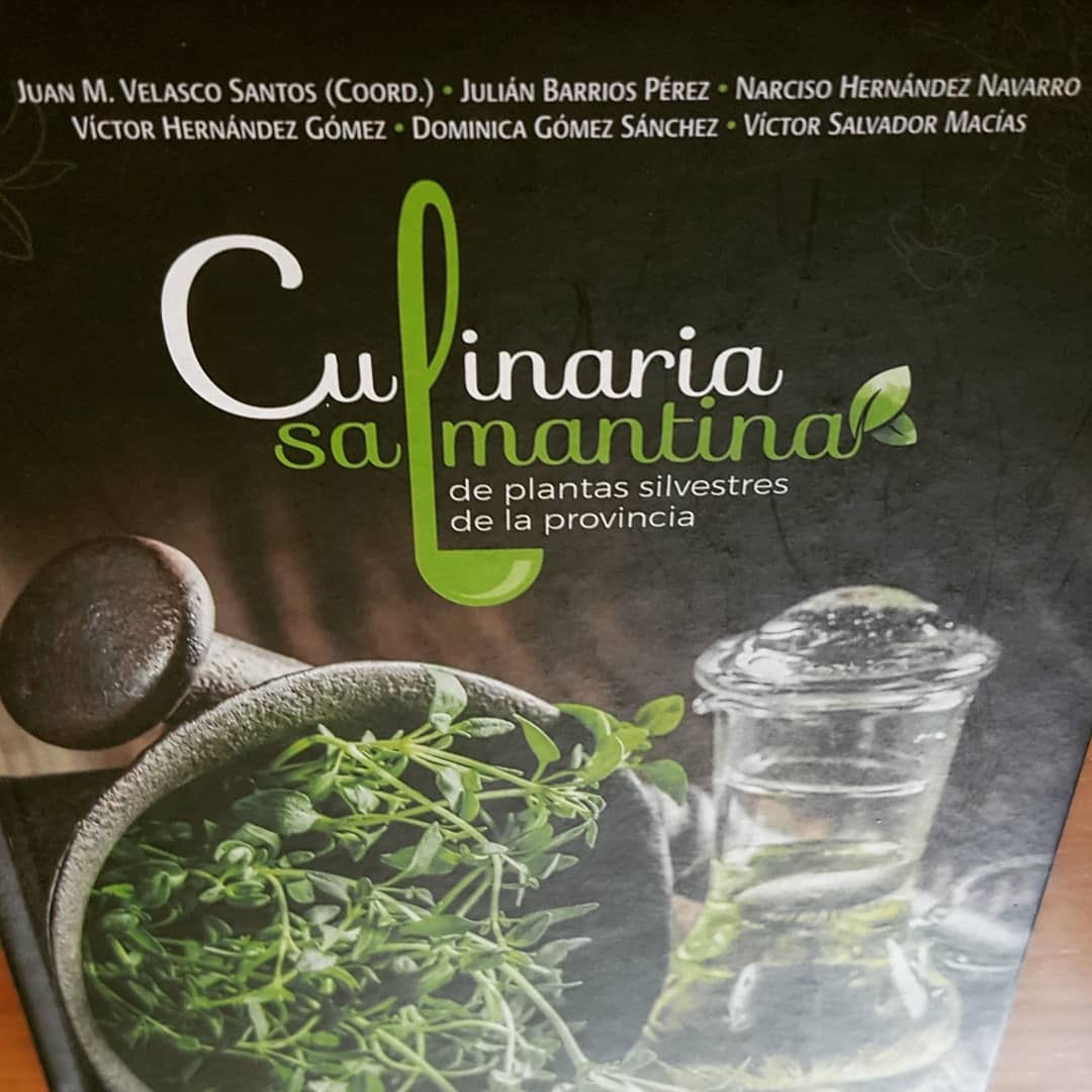 Inma Cañibano tweet media