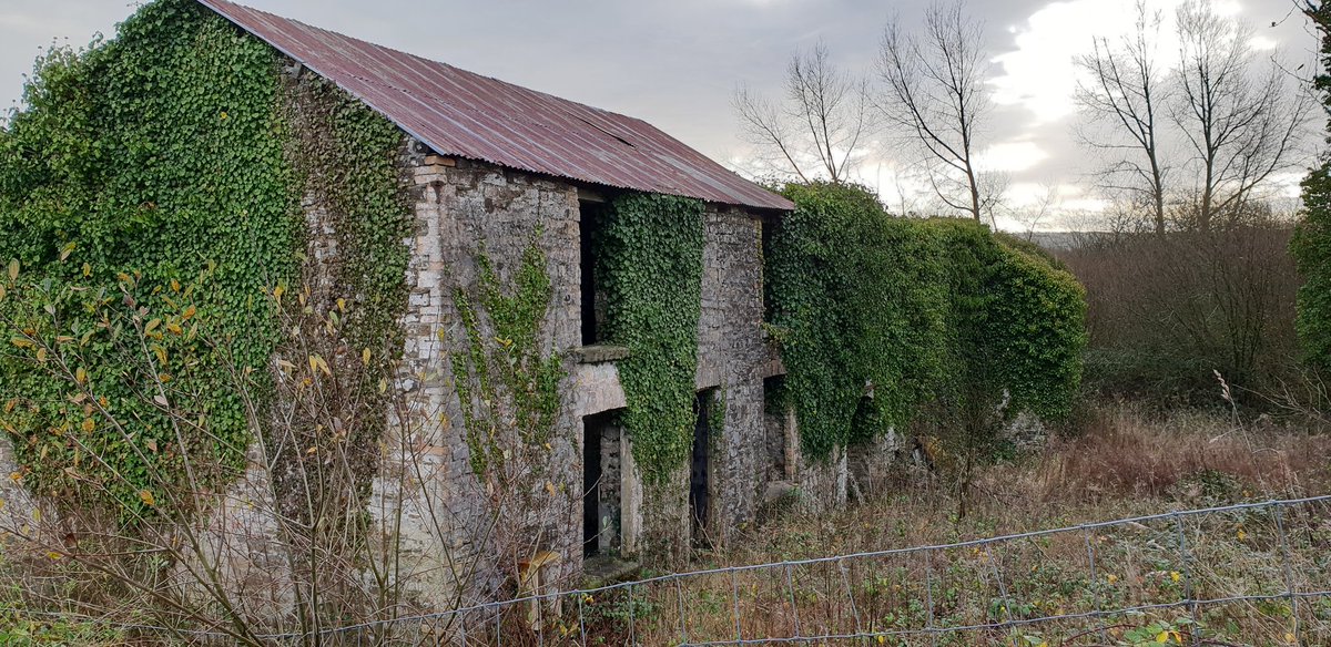 Gwenllian Forest tweet media