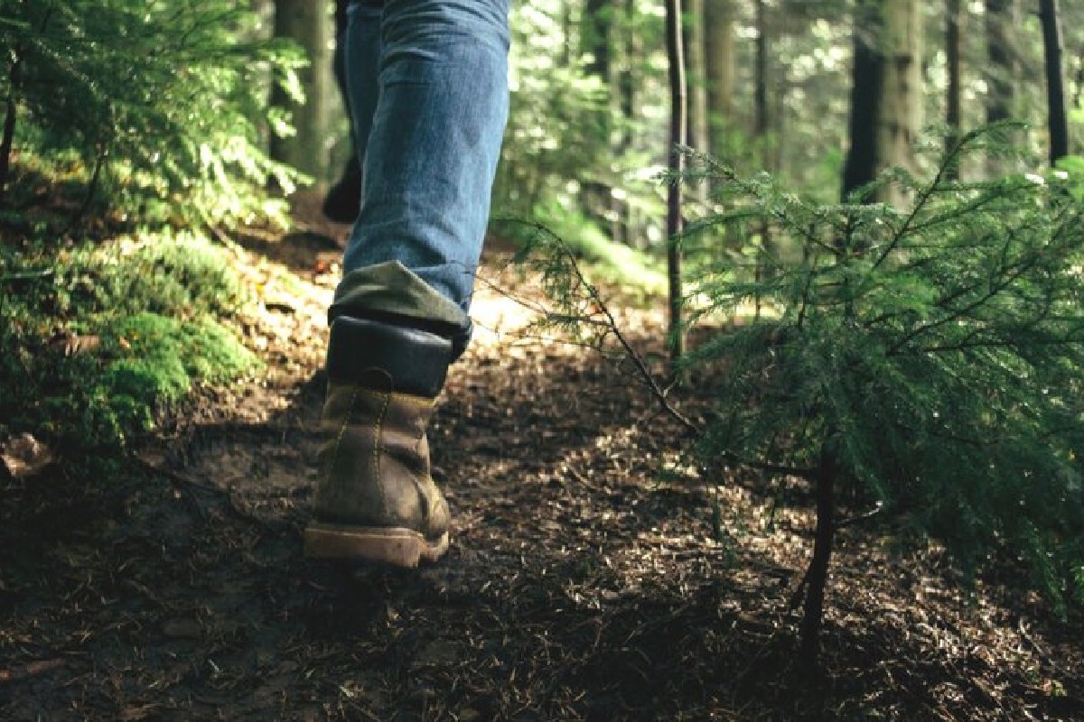 Woodplc's tweet image. Happy International Day of Forests!

#TeamWood has partnered with Scotland's first Young People's Forest, aiming to inspire the #NextGen to contribute towards the nation's climate ambitions ahead of @COP26 in Glasgow later this year: fal.cn/3e9sb #IntlForestDay #COP26