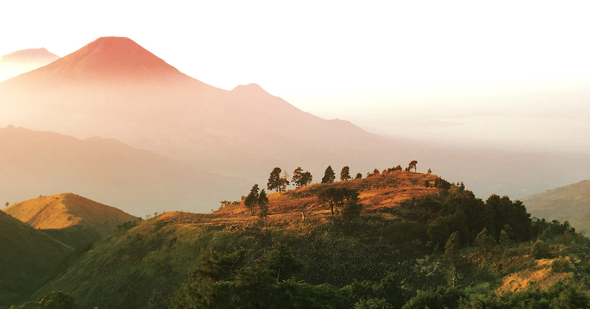 ⚠️🌲Deforestation is a leading cause of global warming, biodiversity loss, carbon emissions &amp; represents a double loss as forests are also carbon sinks.
On the occasion of #InternationalDayOfForests, learn more about #AXA's initiatives to protect #forests: axa.com/en/about-us/ax…