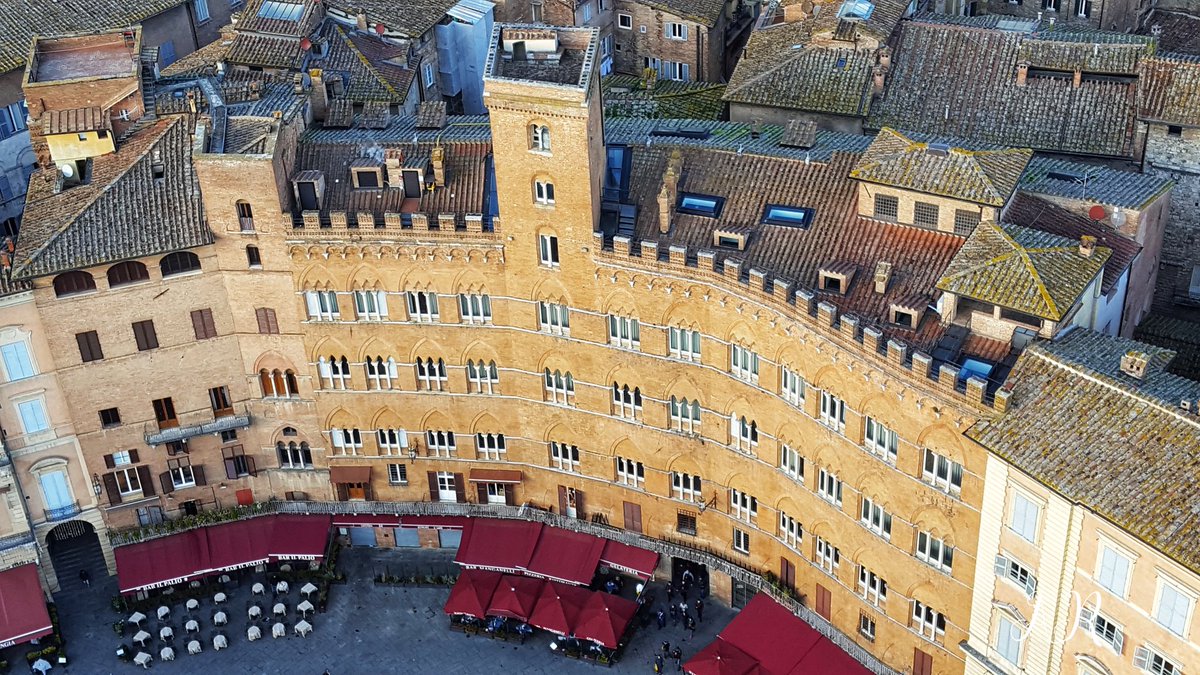 PerpetuumAle's tweet photo. Siena vista dall'alto della torre del Mangia.
La vertigine della bellezza.
📷 mie https://t.co/EFEIm3kkx6