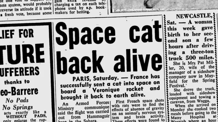 awfcats's tweet photo. Did you know that Félicette🐈‍⬛ was rocketed into space on October 18, 1963, by the French space program, becoming the first, and only, feline astronaut? Over 50 years after her successful flight, a Kickstarter project crowdfunded to honor the Astrocat's memory with a public statue https://t.co/RM6E6oclLh