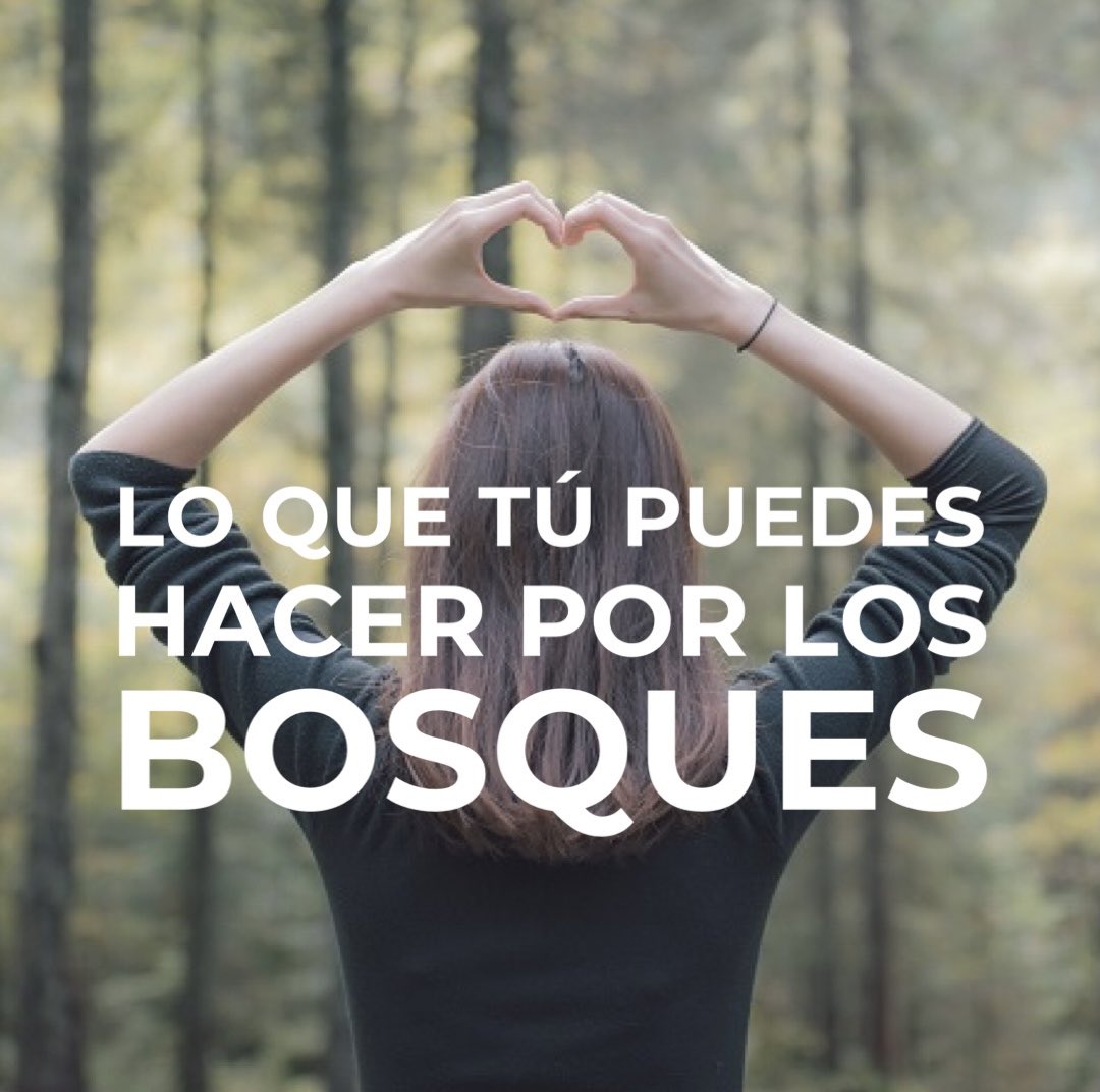 reforesta_ong's tweet photo. ¿Sabias que cada bosque que se tala o se quema emite grandes cantidades de gases que provocan el calentamiento global? 🔥 El CO2 que retenía se libera de nuevo a la atmósfera: https://t.co/WgiH5Vf0Uv

#DiaInternacionalDeLosBosques https://t.co/EtUA2NSVCG
