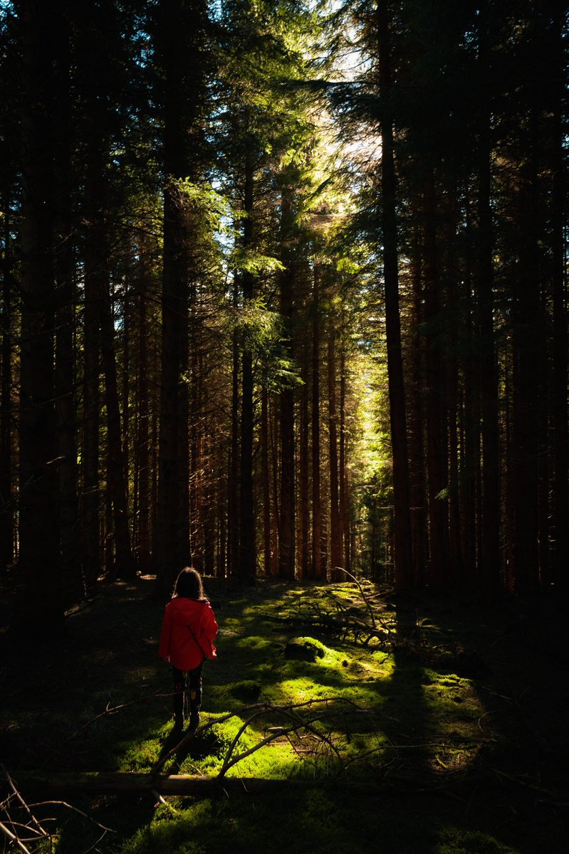 andrewcbrown's tweet photo. In the forest at Lost, Strathdon
-
#strathdon #aberdeenshire #cairngorms #scotland #forest #woodland #photography #scotlandphotography #scotlandexplore #leica #leicaq #trees https://t.co/iq727JYk1m