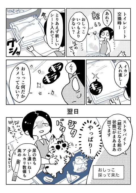 天道グミ Kawakimon さんのマンガ一覧 リツイート順 3ページ ツイコミ 仮 天道グミ Kawakimon さんのマンガ一覧 リツイート順 3ページ ツイコミ 仮