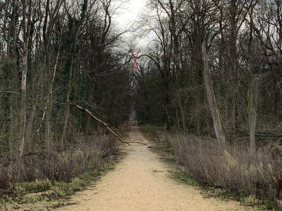 Wir freuen uns heute am #TagDesWaldes einmal mehr über die Rettung #hambacherforst und die vielfältige Solidarität weit über das Rheinland und Deutschland hinaus. 
Dennoch: der Wald ist in seiner Funktion durch RWE und #FossileFreunde wie #Laschet bedroht - #ManheimerLoch droht.