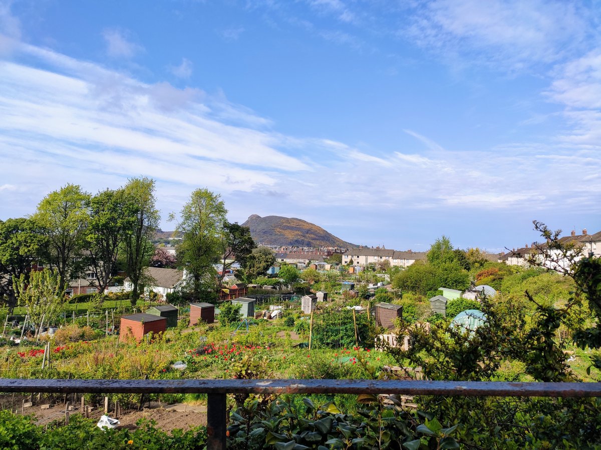 dominiquesmind's tweet photo. Pizza, Arthur's Seat, coffee, piano and Shakespear - a random array of things get a mention in this weeks post.

#sundayvibes #SundayFunday #weekendvibes #pizza #edinburgh  

https://t.co/uQL6hG00pj https://t.co/2wuyO41V9R