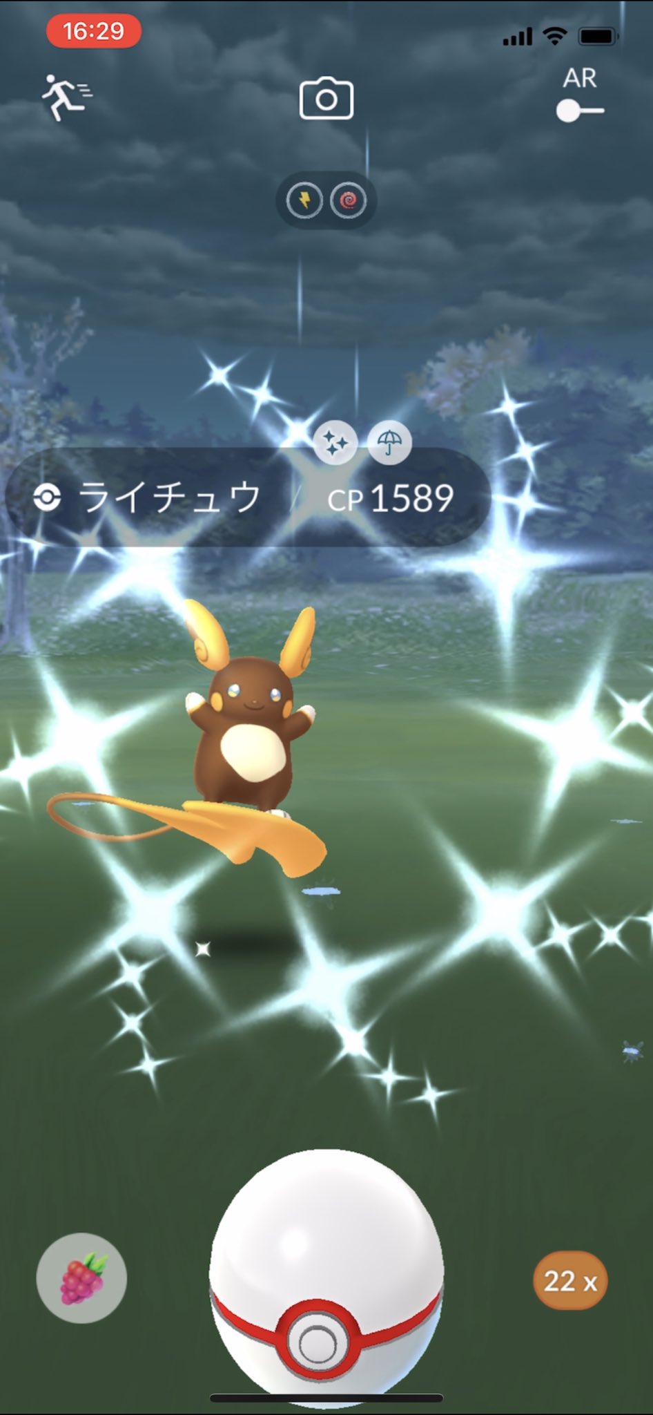 Pokegoa Pa Twitter アローラ ライチュウ色違い1 ライチュウ アローラ アローラライチュウ 色違い Pokemongo ポケモンgo 初のアロライ デイパス消費のためにやったレイドで 無欲は強い T Co 9hz939qqxn Twitter