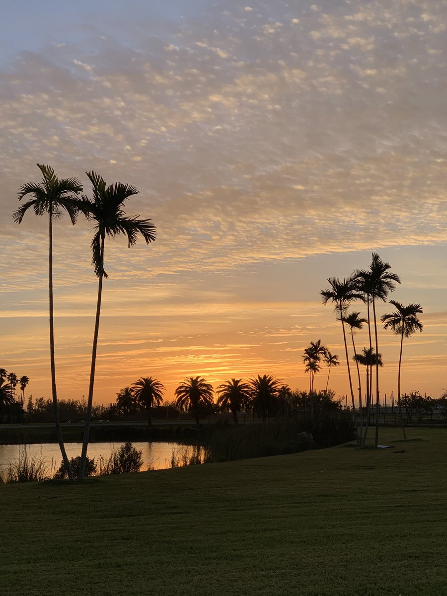 jamilynewriter's tweet photo. Good morning: 

There’s hope in a sunrise: another day, another chance ~ a new beginning. 

Have a beautiful day. 

#SuicidePrevention #mentalhealth https://t.co/r5L3x4q7tZ