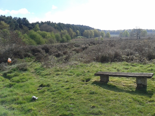 New post (Shoal Hill colour coded race 25th April) has been published on Walton Chasers - walton-chasers.co.uk/shoal-hill-col…