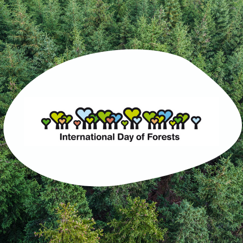 Happy International Day of Forests 2021!

This year's theme is 'Forest restoration: a path to recovery and well-being'  

Join the conversation by tagging us in a photo of your favourite forest using the #IntlForestDay hashtag.

#SDG15 #ClimateChange #GenerationRestoration