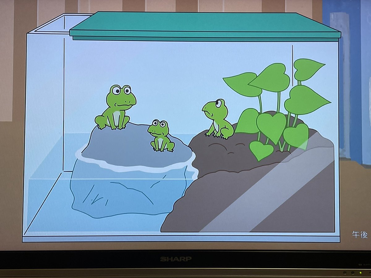 サザエさんで おたまじゃくし が話題に トレンドアットtv