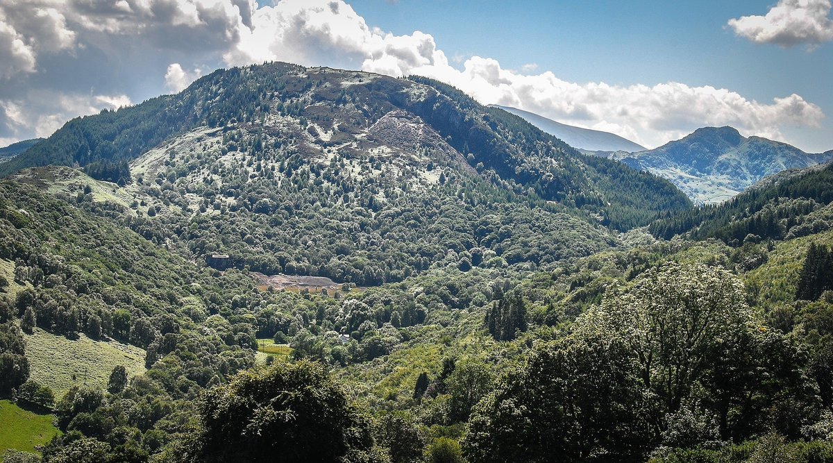 NatResWales's tweet image. 🌲Today we’re celebrating International day of Forests! 

To mark  the occasion, #TeamNRWs Greg Jones &amp;amp; Abi Beath tell us about the work that’s involved to ensure our forests are cared for and managed sustainably, in our latest blog 👉 orlo.uk/BPQ9d

#IntlForestDay