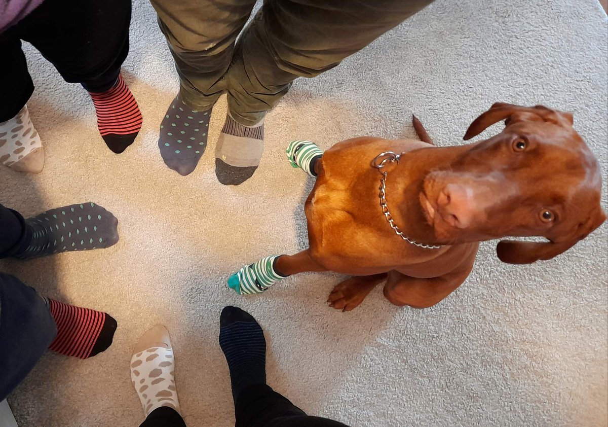 aleksaboy's tweet photo. #WorldDownSyndromeDay #LotsOfSocks #RockYourSocks https://t.co/J2xlq0RmiC
