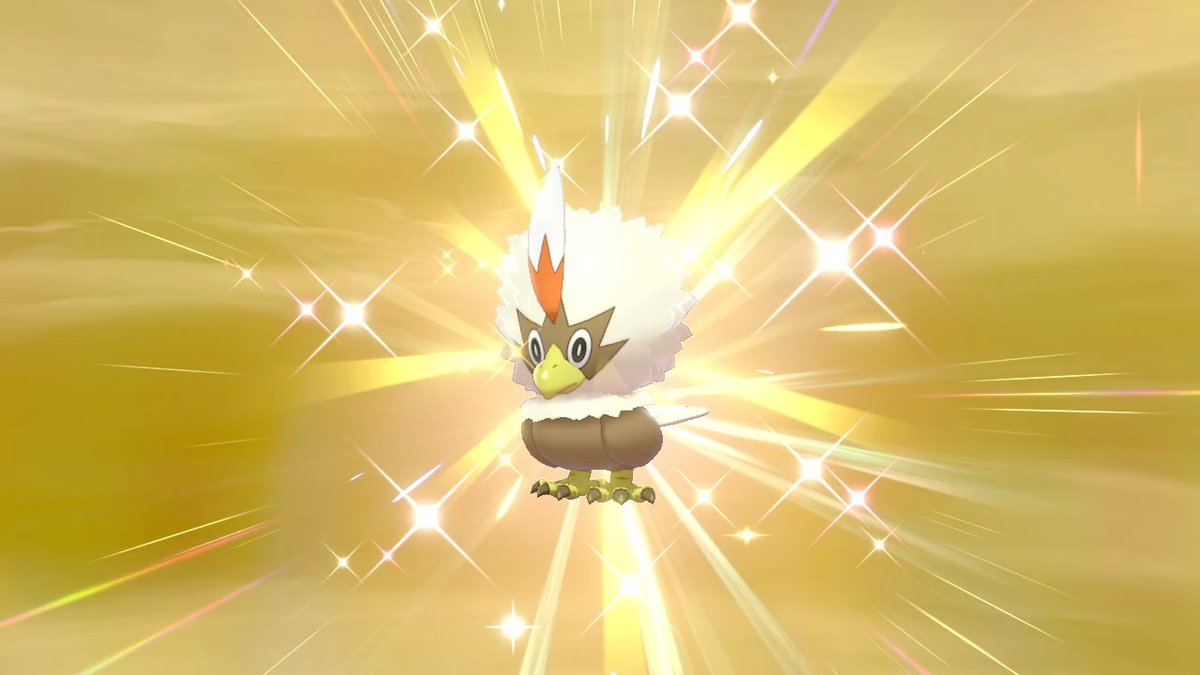 ソードシールド ワシボンの種族値 わざ 特性など能力と入手方法 ポケモン剣盾 攻略大百科