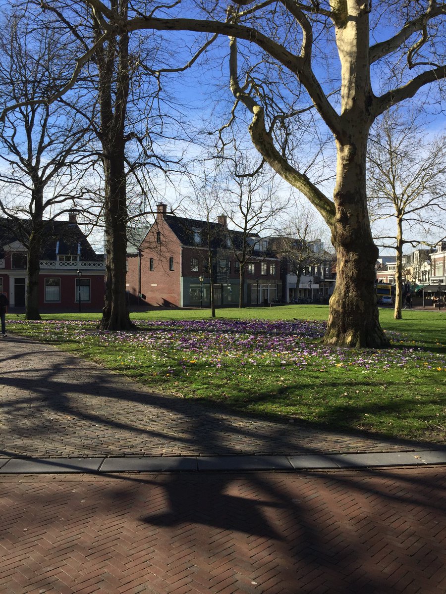 openhuisassen's tweet photo. Vanmiddag vanaf 14.00 uur zijn we geopend. #welkom Tijdens de wandeling van en naar de Brink 25 nog even genieten van de #crocussen bij @DrentsMuseum https://t.co/lTiFcaAO24