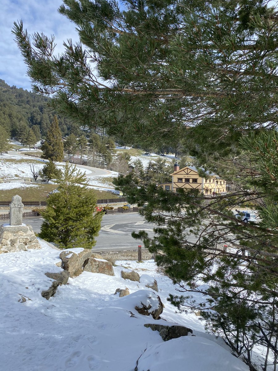 VentaMarcelino's tweet image. Una de nuestra suertes en encontrarnos entre pinares, casi dentro del bosque. Lugares maravillosos que debemos respetar y proteger SIEMPRE, feliz #DíaInternacionalDeLosBosques