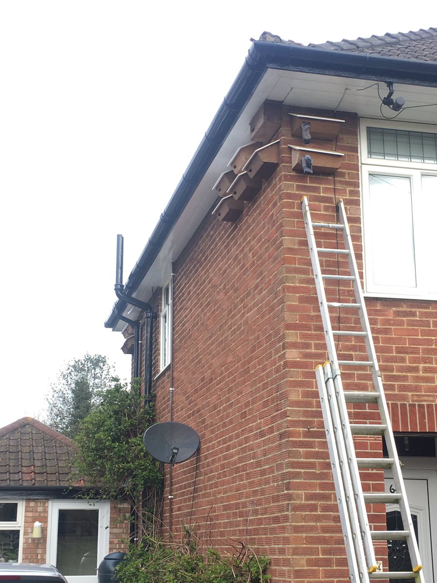 I have had to sock up my front two Swift nest boxes to prevent nesting House Sparrows stopping my nest cameras being fitted. In 2020 Swifts nested below & HS above (other way round in 2019). Sparrows are busy stuffing 6 other nest boxes & 2 Swift nest bricks