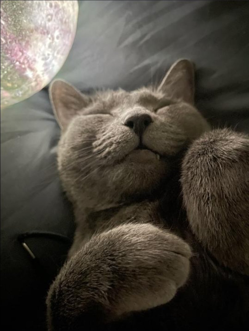 Ew_yayoVEAIUtPY?format=jpg&name=medium