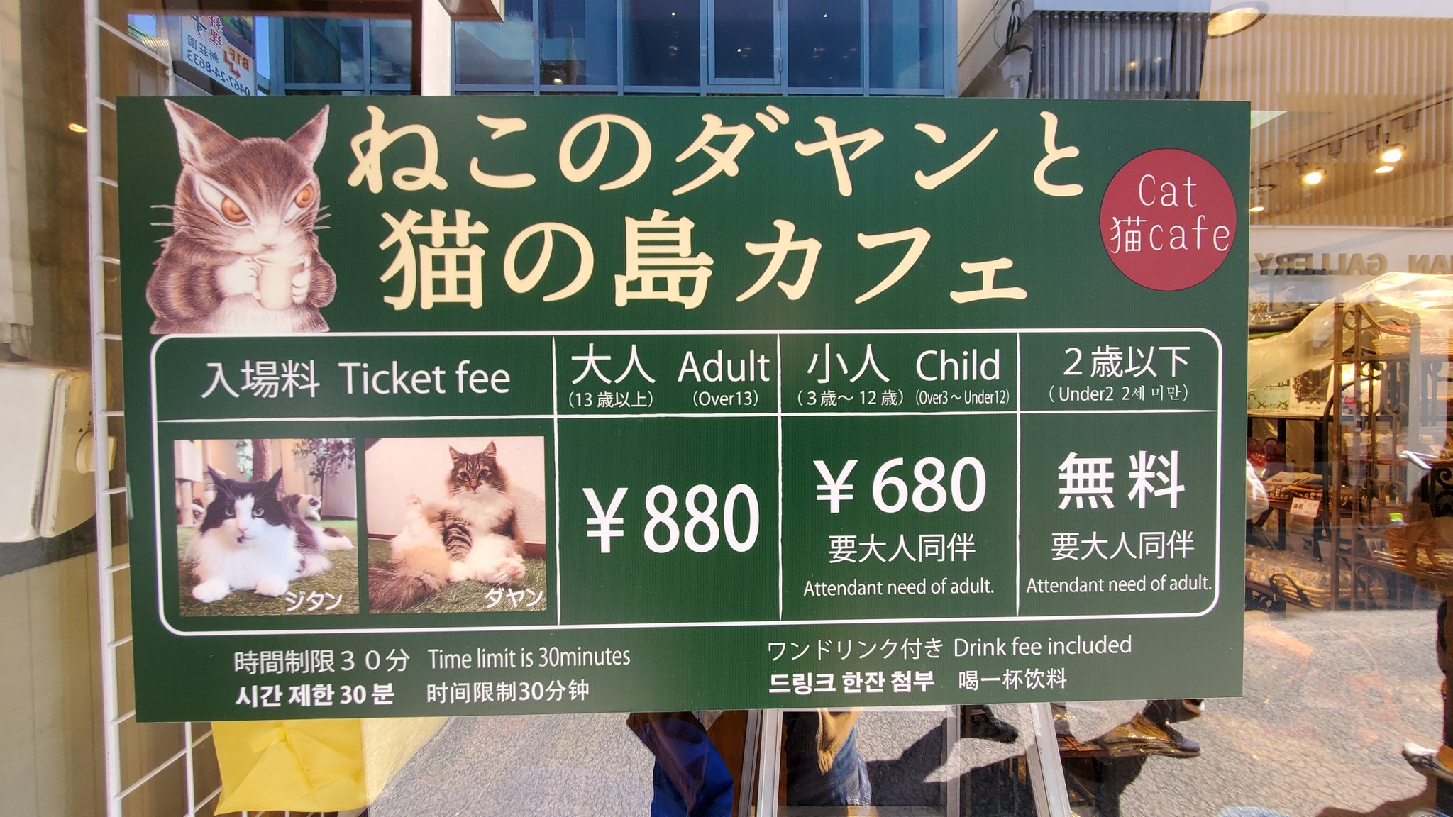 ねこのダヤンと猫の島カフェ リアルダヤン猫カフェの入場料です 猫カフェ ダヤン わちふぃーるど ねこのダヤンと猫の島カフェ リアルダヤン猫カフェの入場料です 猫カフェ ダヤン わちふぃーるど