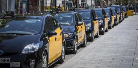 dolorsbassac's tweet photo. Ahir vaig aturar un taxi qualsevol.El conductor educat i simpàtic. Jo necessitava atravessar pràcticament tot bcn.El preu del viatge era de més de 20€.En arribar em va dir: "No cal que em paguis amb el que tu has fet pel pais". Em va emocionar!#tallsMeridiana #Cat #bonagent https://t.co/hN2fHfqZ6A