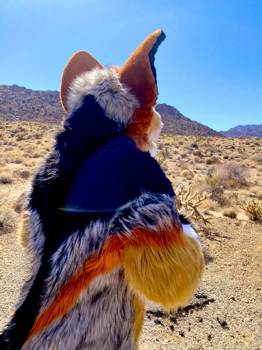 deserteeth's tweet photo. https://t.co/hyv8cPvsT5