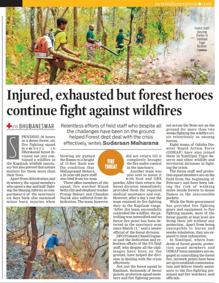 They bled, were dehydrated, yet they did not give up. These Forest field staff in Dhenkanal fought fire with fire #earthheroes @XpressOdisha @Sud_TNIE @DfoDhenkanal