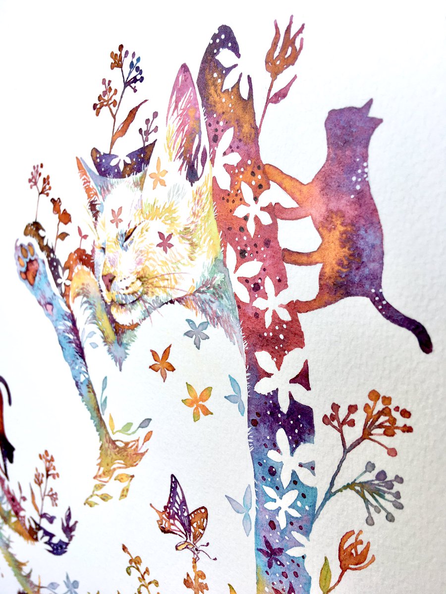 夢を見るネコ #猫好きさんと繋がりたい #ねこ #猫のいる幸せ #猫