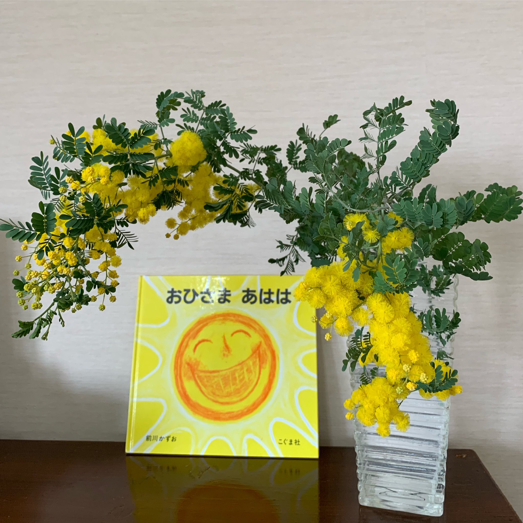 野村朋未 ベランダの鉢植えのミモザは満開 部屋の中にも元気な色をわけてもらって 明るく楽しい雰囲気になりました 絵本は おひさまあはは みんなに笑顔が広がるお話です 今日も笑顔で あはは ミモザ ベランダ ミモザ大好き 絵本 絵本