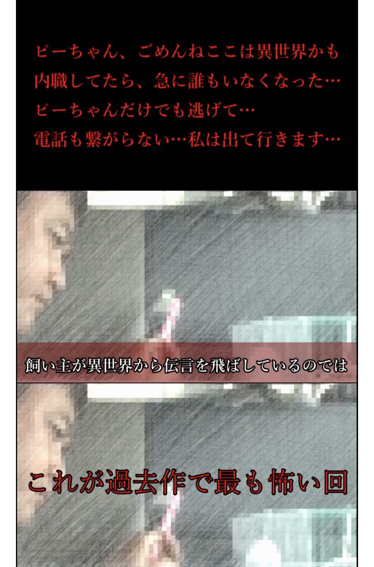 探偵ナイトスクープで阪神競馬場の最後の坂が中継だと全然坂に見えないのに馬が失速するのに不満がある人間集めてコース走らせるのめっちゃ面白かった 走った後死にそうな顔してもう文句言いません って言ってた Togetter