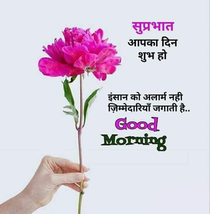 KashyapSubhash9's tweet image. #MR.#kashyap
Good morning,🌄 🙏 My Dear All Friends.😊❣
@SubhashKashyap0 @imVkohli @anjanaomkashyap @RajatSharmaLive @akshaykumar @ImRo45 @AnushkaSharma @rajnathsingh @narendramodi @PMOIndia @YouTubeIndia @myogiadityanath @myogioffice @yogrishiramdev @PiyushGoyal @BJP4UP