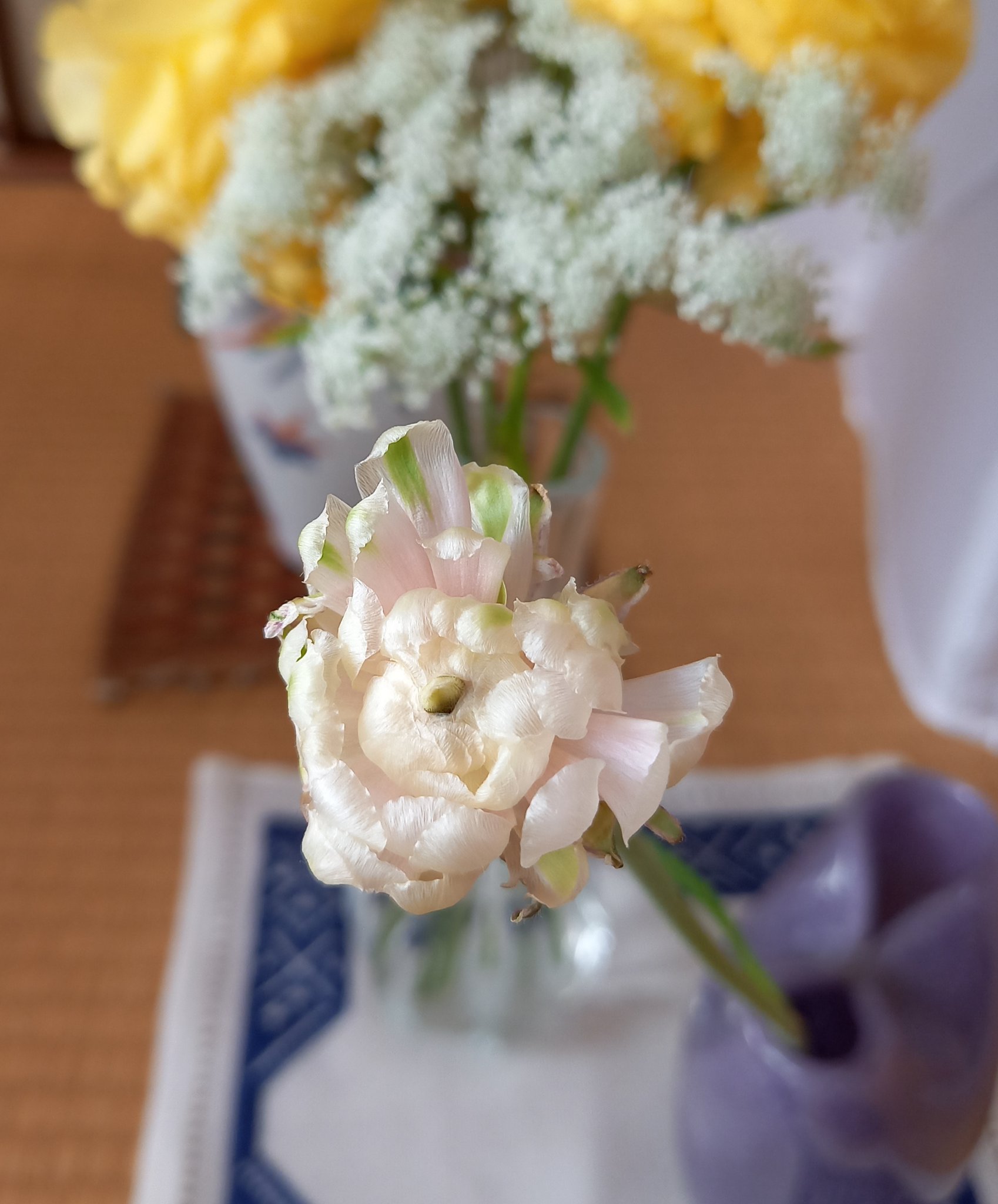 あお 先月27日 母の月命日 に買った黄色のラナンキュラスが 花びらを散らしつつも何とか原型を留めています できるだけ 長く生かしたい ラナンキュラスの蕾は 開き切った感じです 庭のハナニラは たくさん花が開いています 祖父母の家に咲いてい