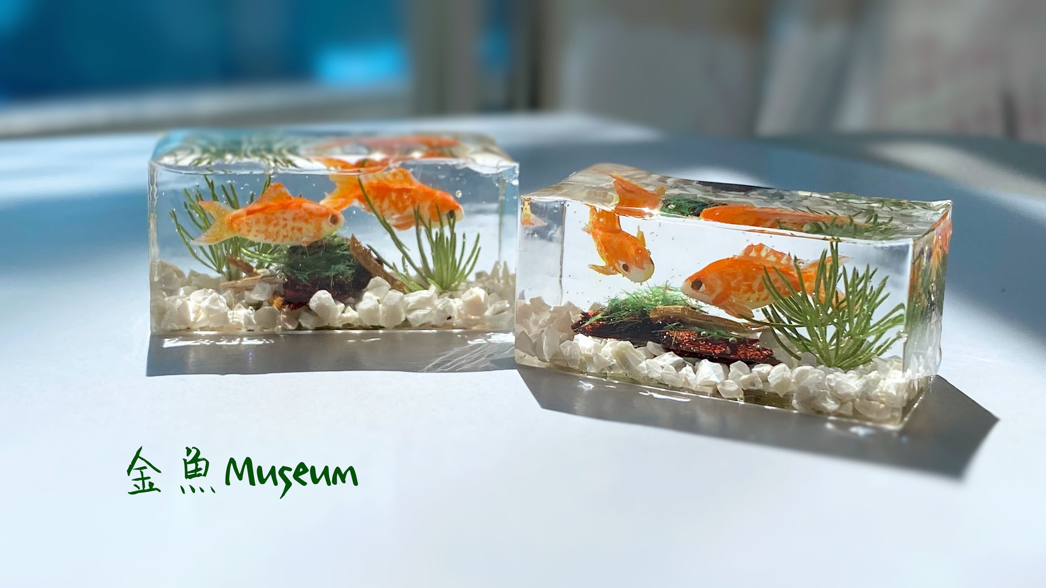 金魚museum デザフェス56 南1f G 461 G 462 11 19 両日 水槽金魚ちゃん第二弾 水草や金魚の位置は思うところに固定できました でも固定に使った割り箸にレジンがくっついちゃって 水面がガタガタに とりあえず補強しましたがなんか不自然
