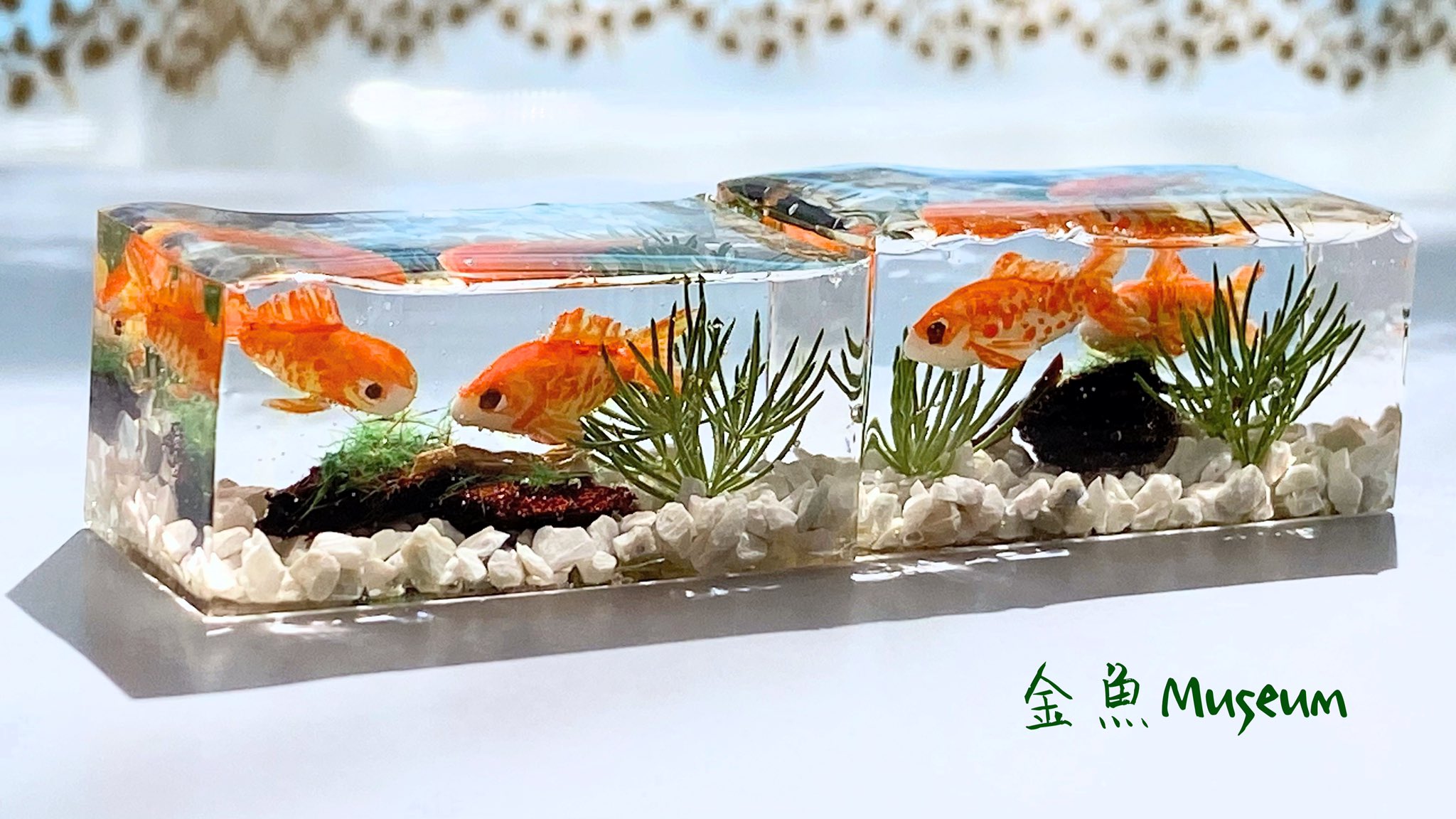 金魚museum デザフェス56 南1f G 461 G 462 11 19 両日 水槽金魚ちゃん第二弾 水草や金魚の位置は思うところに固定できました でも固定に使った割り箸にレジンがくっついちゃって 水面がガタガタに とりあえず補強しましたがなんか不自然