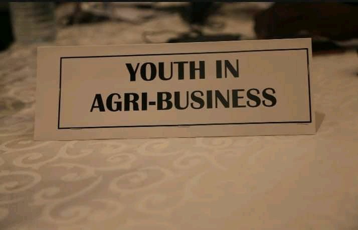 ryaf_agribiz's tweet photo. Investing in Africa's youth in agriculture is investing in Africa's future of food.

Retweet and Comment with ❤ if you agree. https://t.co/QbBuB5ty56