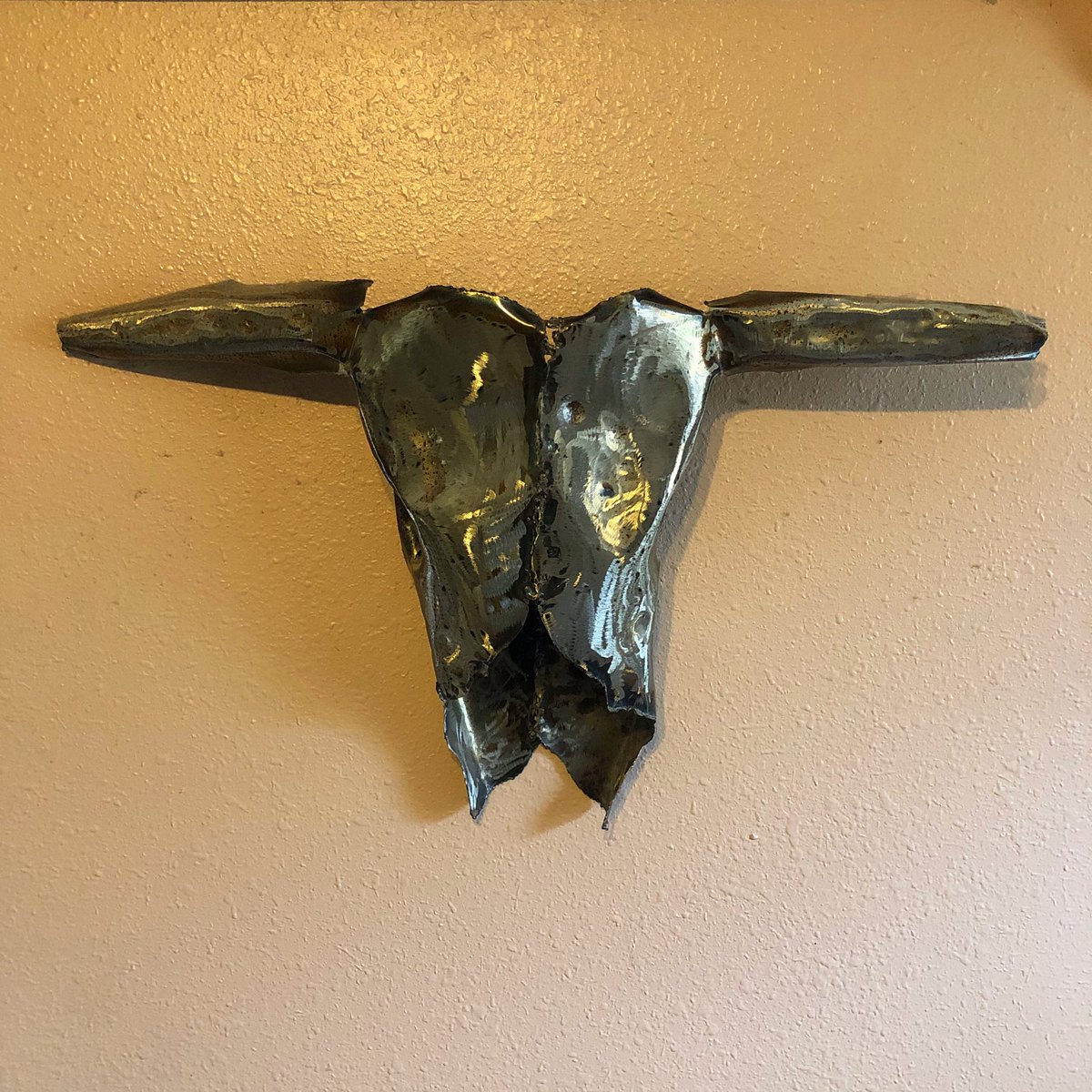 MarkCastator's tweet image. Cow Skull made for my sister in 1993. Fashioned from a single piece of  hammered metal. That seam is pre-MIG for me when I only arc-welded.