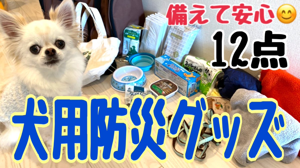 犬の防災グッズ 犬の防災グッズ
