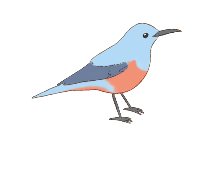 鳥のイラスト図鑑のtwitterイラスト検索結果 鳥のイラスト図鑑のtwitterイラスト検索結果