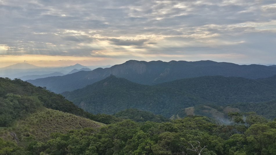 Tonight we're visiting Mount Mabu in northern Mozambique. It's covered in old-growth rain forest and is around 5,600 feet high. It wasn't well known to plant & animal scientists outside of Mozambique until 2005 after some browsed on Google Earth & then visited the area.......
