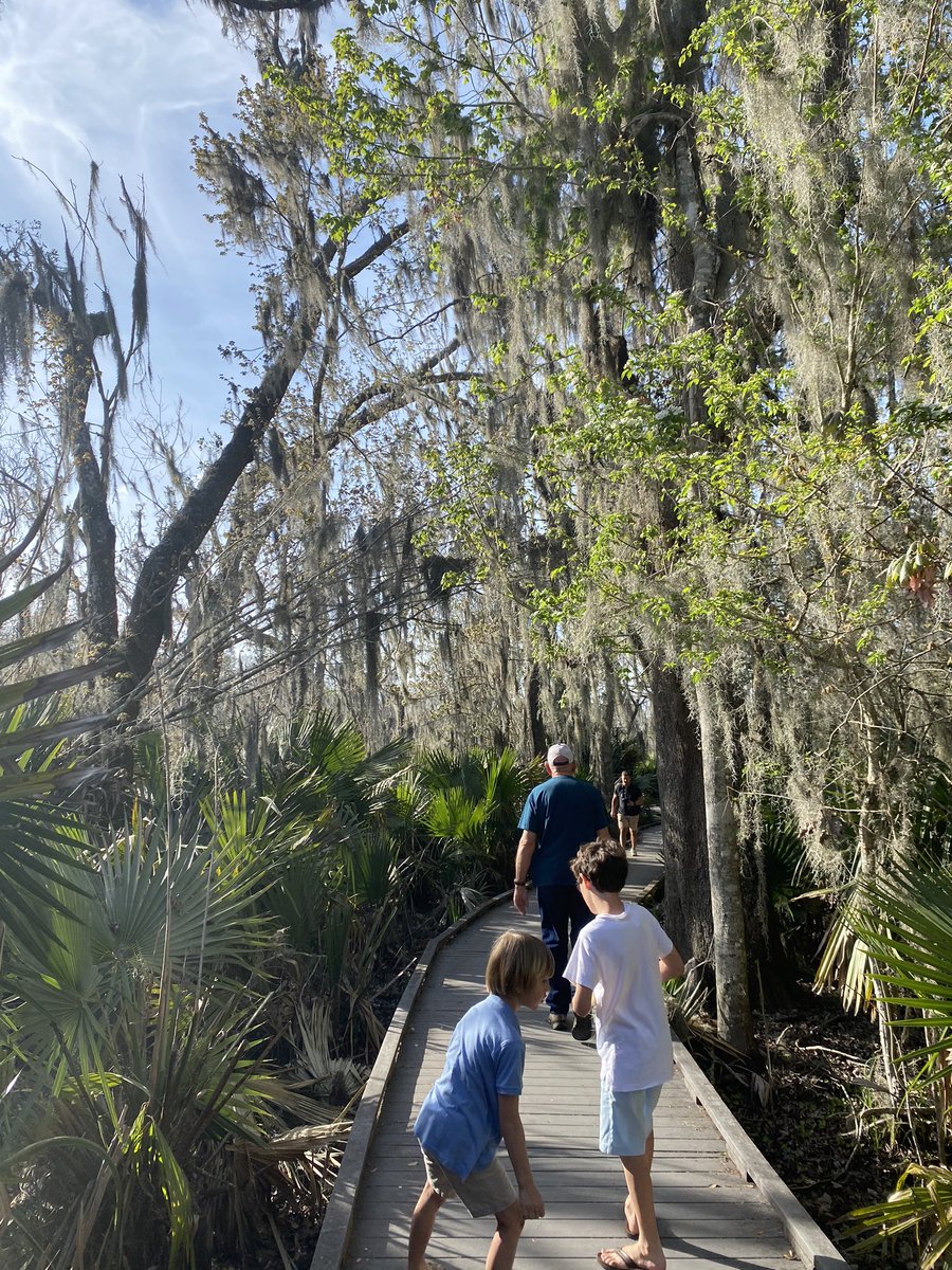 Leon Hays tweet media