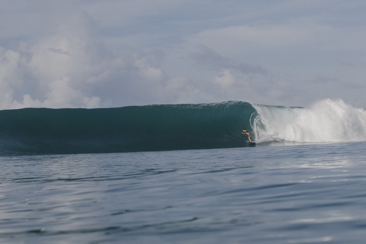 The Store tweet media