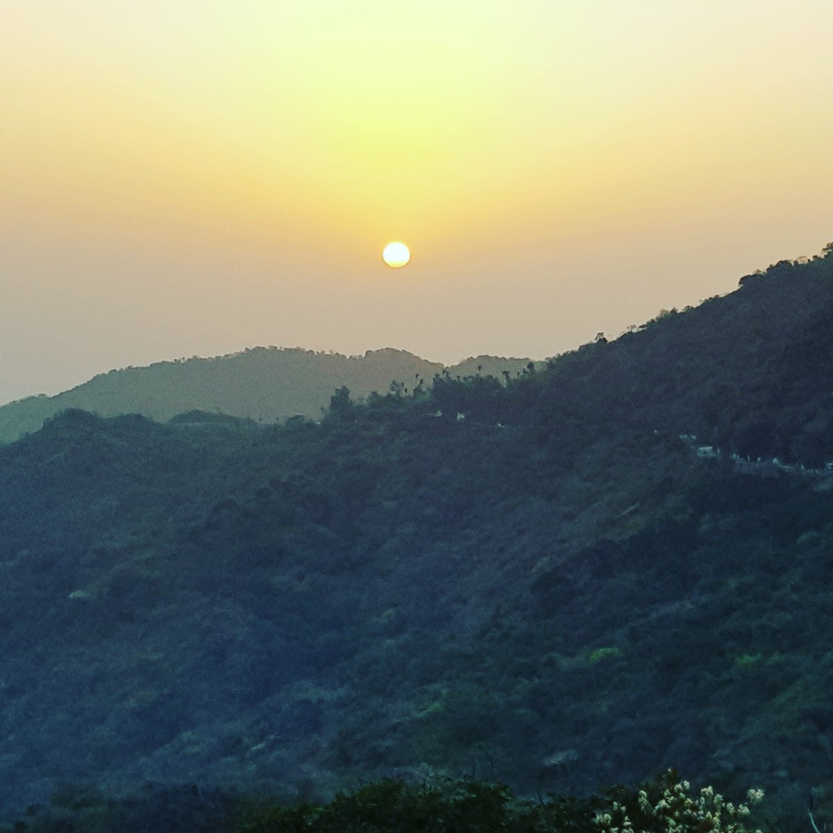 NishaMe89028811's tweet photo. Beautiful Sunrise https://t.co/b9aJGuUmRn