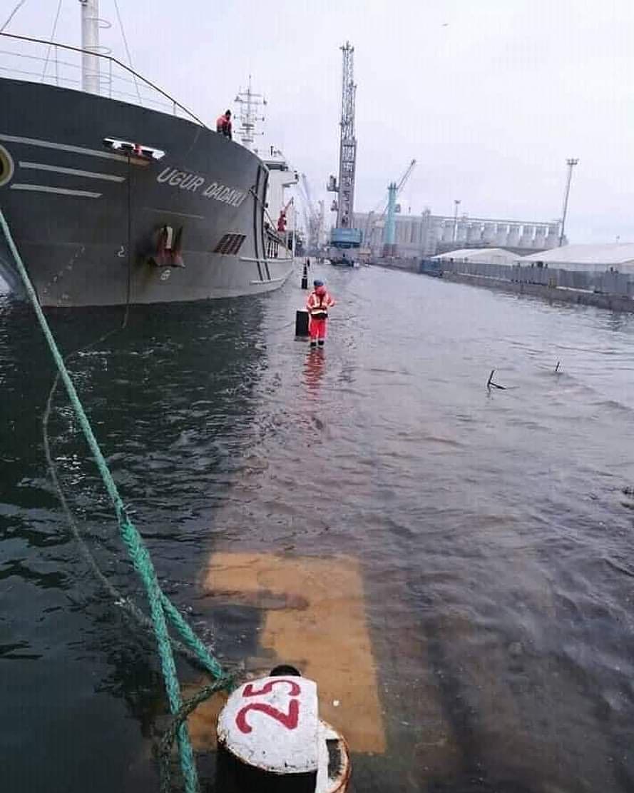 EMILYcaptain21's tweet photo. Berth under water ⚓
#maritime #ship #shipping #lifeatsea #sea #instaship #merchantnavy #sailor #seafarer #seama #marine #sealife #coolmariners #shiplife #ocean #sailorlife #seafarers #port #boat https://t.co/gaKCuJzvvO